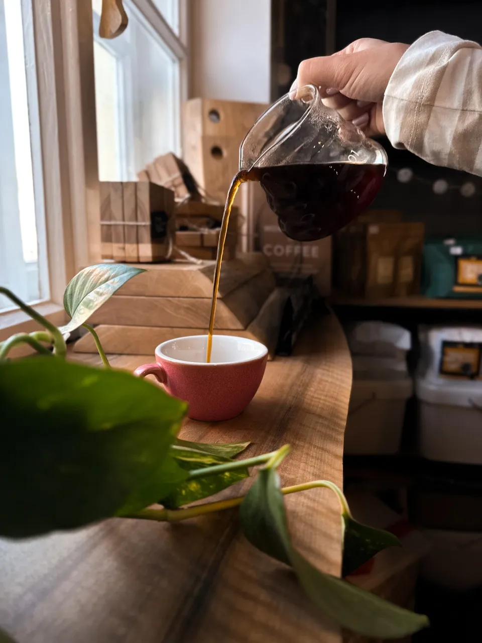 Barista przygotowuje latte art - profesjonalna praca z kawą